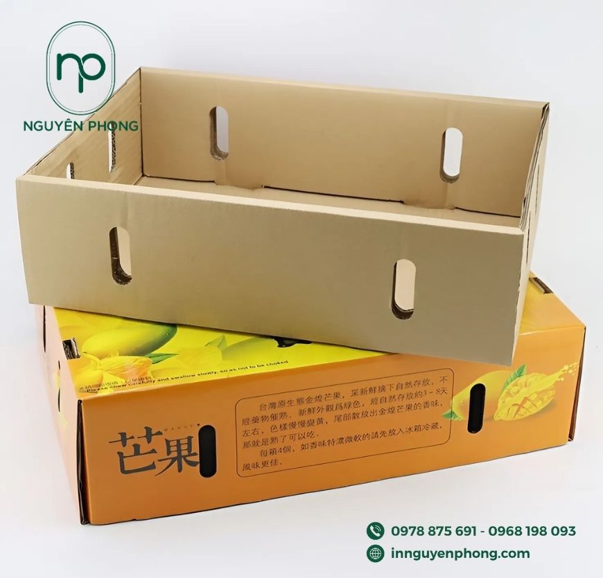 mau-thung-carton-dung-nho-gia-re-2